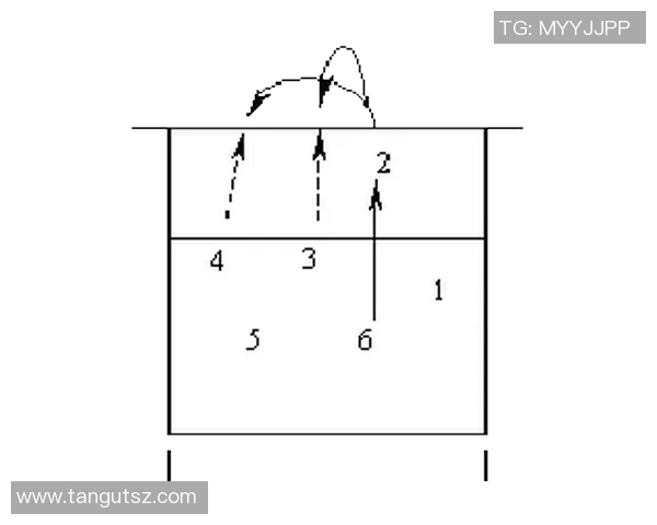 成都排球队在精英赛中的战术表现分析与点评探讨