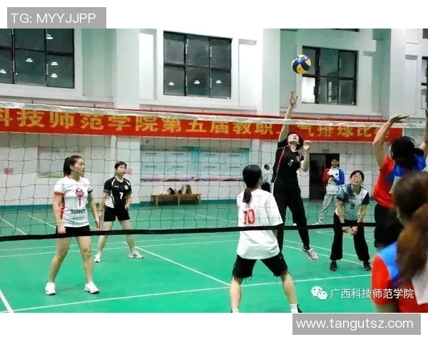 权威发布：2023年排球意识实力榜单全面解析与前瞻