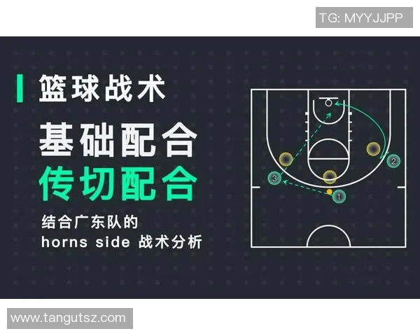 杭州篮球队总决赛表现分析：意识与战术的深度解读与反思