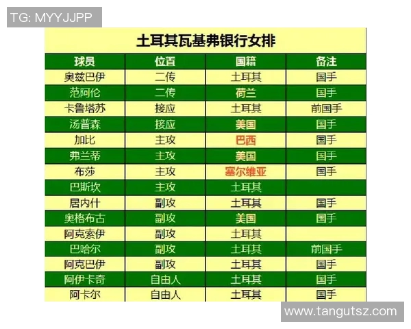 杭州排球队状态对比深度解析及未来发展趋势探讨