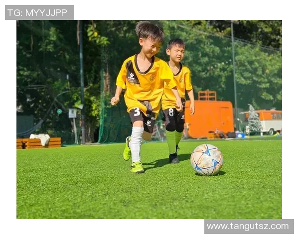 足球明星在绿茵场上踢球的精彩瞬间与动感BGM完美融合的视听盛宴