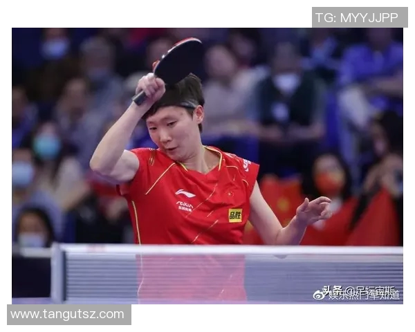 成都排球队的拼搏之路与大满贯梦想的追逐历程 成都排球队的拼搏之路与大满贯梦想的追逐历程