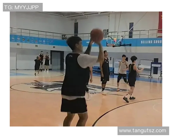 深度解析北京篮球队的战术配合与球员默契程度的对比分析