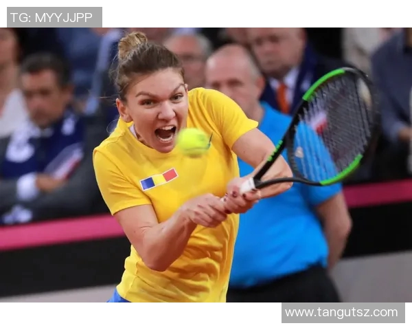 西安网球队以86分稳居联合会杯积分榜首位展现强劲实力 西安网球队以86分稳居联合会杯积分榜首位展现强劲实力