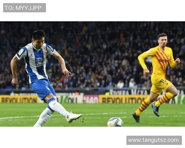 广州排球队的力量争议引发热议球迷与专家各抒己见探讨背后真相