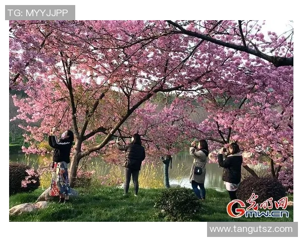 武汉网球队的速度之美:探索他们的训练与比赛背后的故事 武汉网球队的速度之美:探索他们的训练与比赛背后的故事