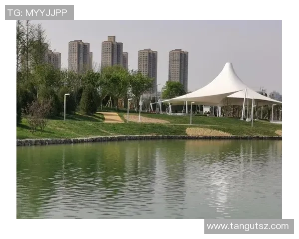 西安篮球队在钻石联赛中的崛起与奋斗历程全景回顾 西安篮球队在钻石联赛中的崛起与奋斗历程全景回顾