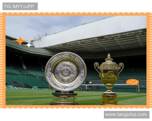 成都网球队的辉煌崛起与冠军赛背后的奋斗故事 成都网球队的辉煌崛起与冠军赛背后的奋斗故事