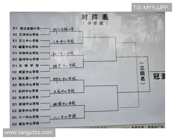 北京篮球队在奥运会中的个人能力分析与表现评估