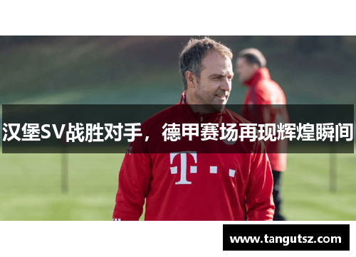 汉堡SV战胜对手，德甲赛场再现辉煌瞬间