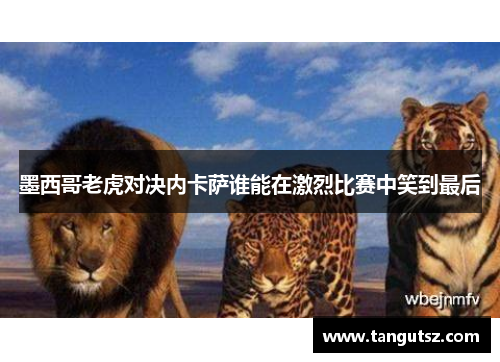 墨西哥老虎对决内卡萨谁能在激烈比赛中笑到最后