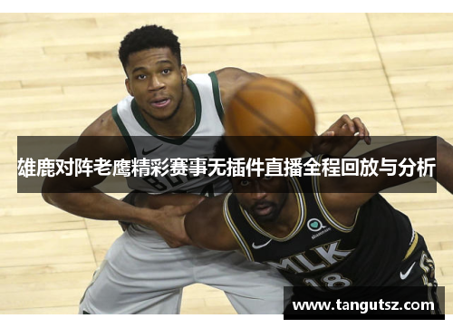 雄鹿对阵老鹰精彩赛事无插件直播全程回放与分析