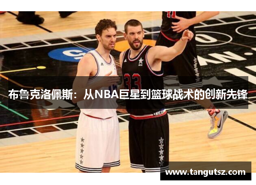 布鲁克洛佩斯：从NBA巨星到篮球战术的创新先锋